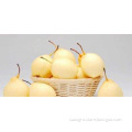 /msite/products/detail/productid/56337495/id/572588.html
